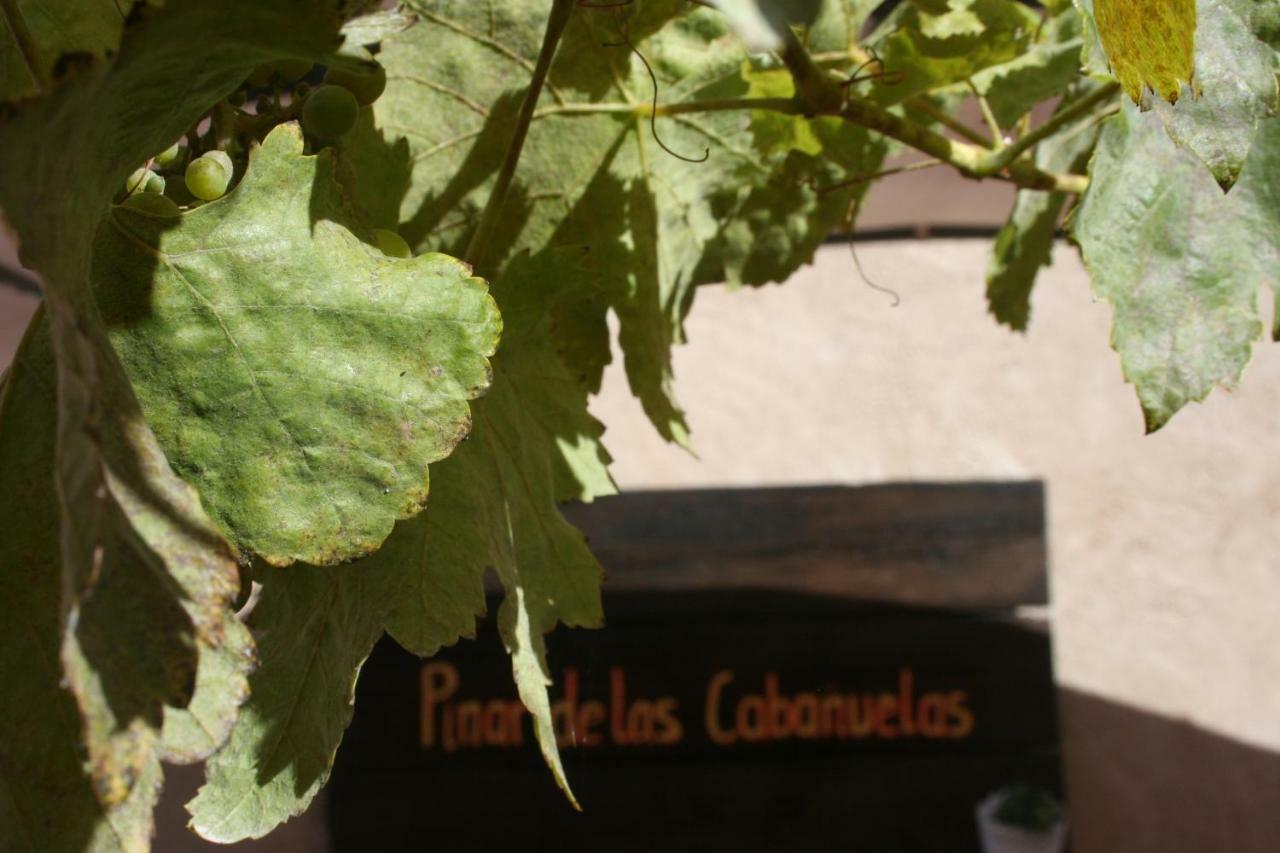 Pinar De Las Cabanuelas Villanueva de Duero Extérieur photo
